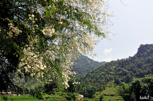 Về miền đất Cao Bằng thân thương